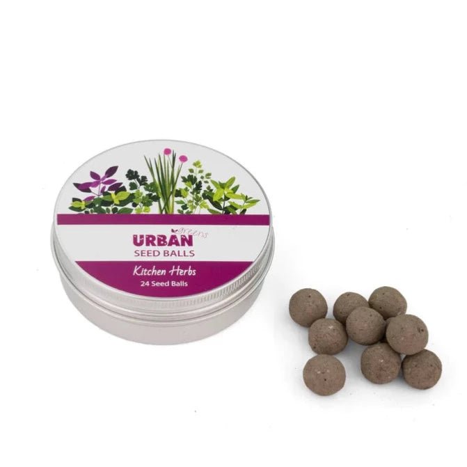 Urban Greens Seed Balls in Metal Tin - Kitchen Herbs