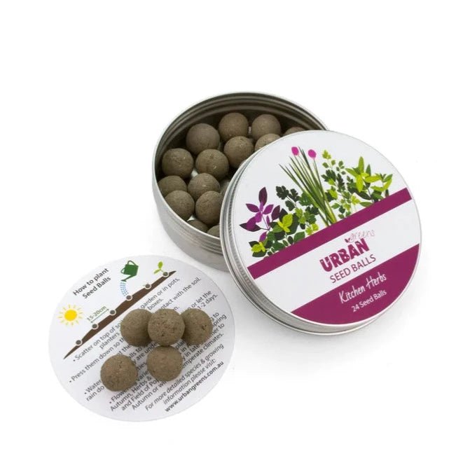 Urban Greens Seed Balls in Open Metal Tin with Instructions - Kitchen Herbs
