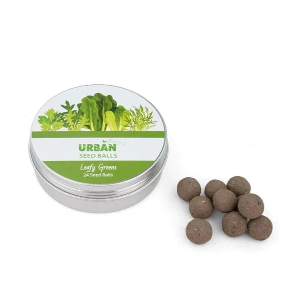 Urban Greens Seed Balls in Metal Tin - Leafy Greens