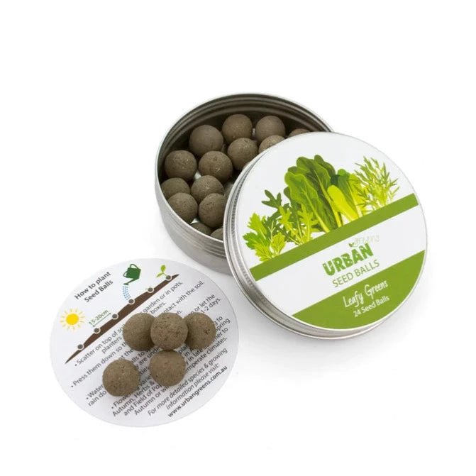 Urban Greens Seed Balls in Open Metal Tin with Instructions - Leafy Greens