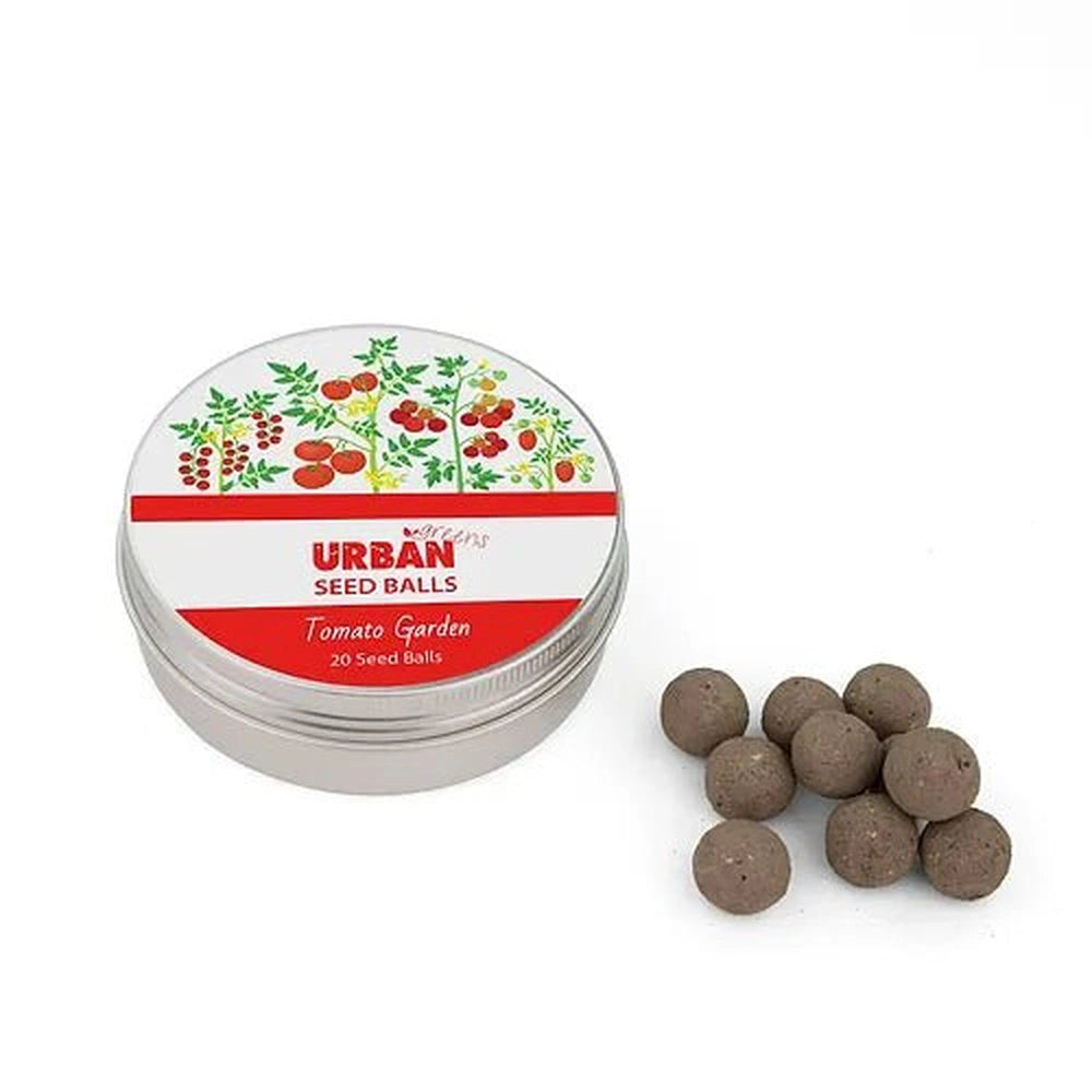 Urban Greens Seed Balls in Metal Tin - Tomato Garden