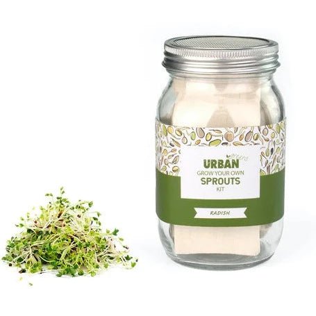 Urban Greens Radish Sprouts Jar Kit with Radish Sprouts.