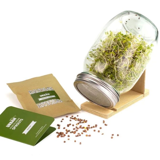 Urban Greens Sprout Jar Inverted On Stand with Radish Seeds and Radish Sprouts in Jar
