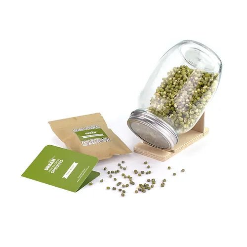 Contents of Mung Bean Sprouts Jar Kit from Urban Greens, Including Seeds, Timber Stand, Instructions