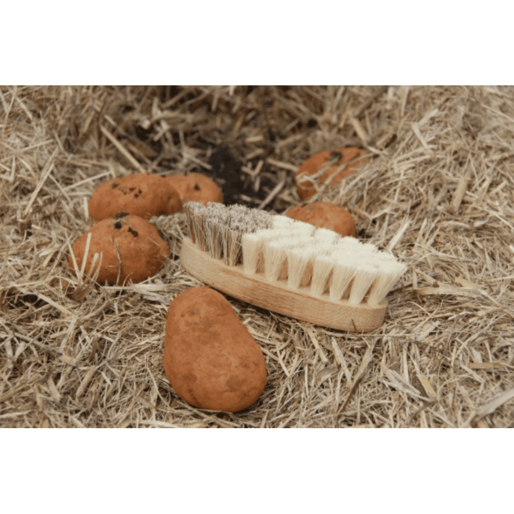 Vegetable Brush - Union Fibre