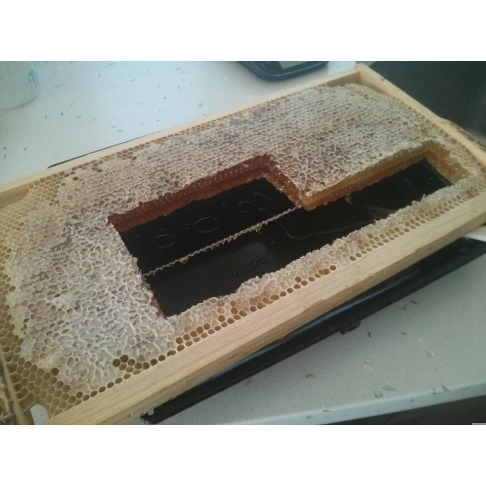 Harvested Honeycomb, from Vic Park Hone