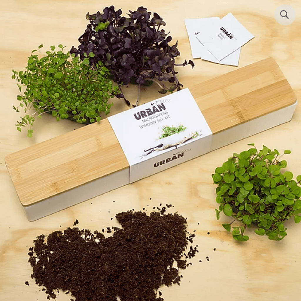 Microgreens Window Sill Kit in Packaging, Surrounded by Fresh Microgreens, Seed Packets and Coir