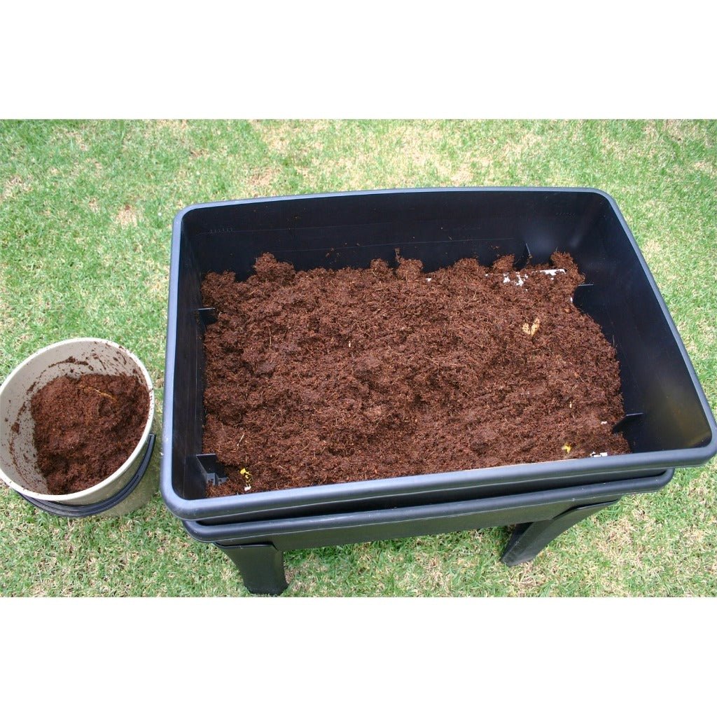 Tumbleweed Worm Farm Bedding Block Expanded and Covering Base of Worm Tray