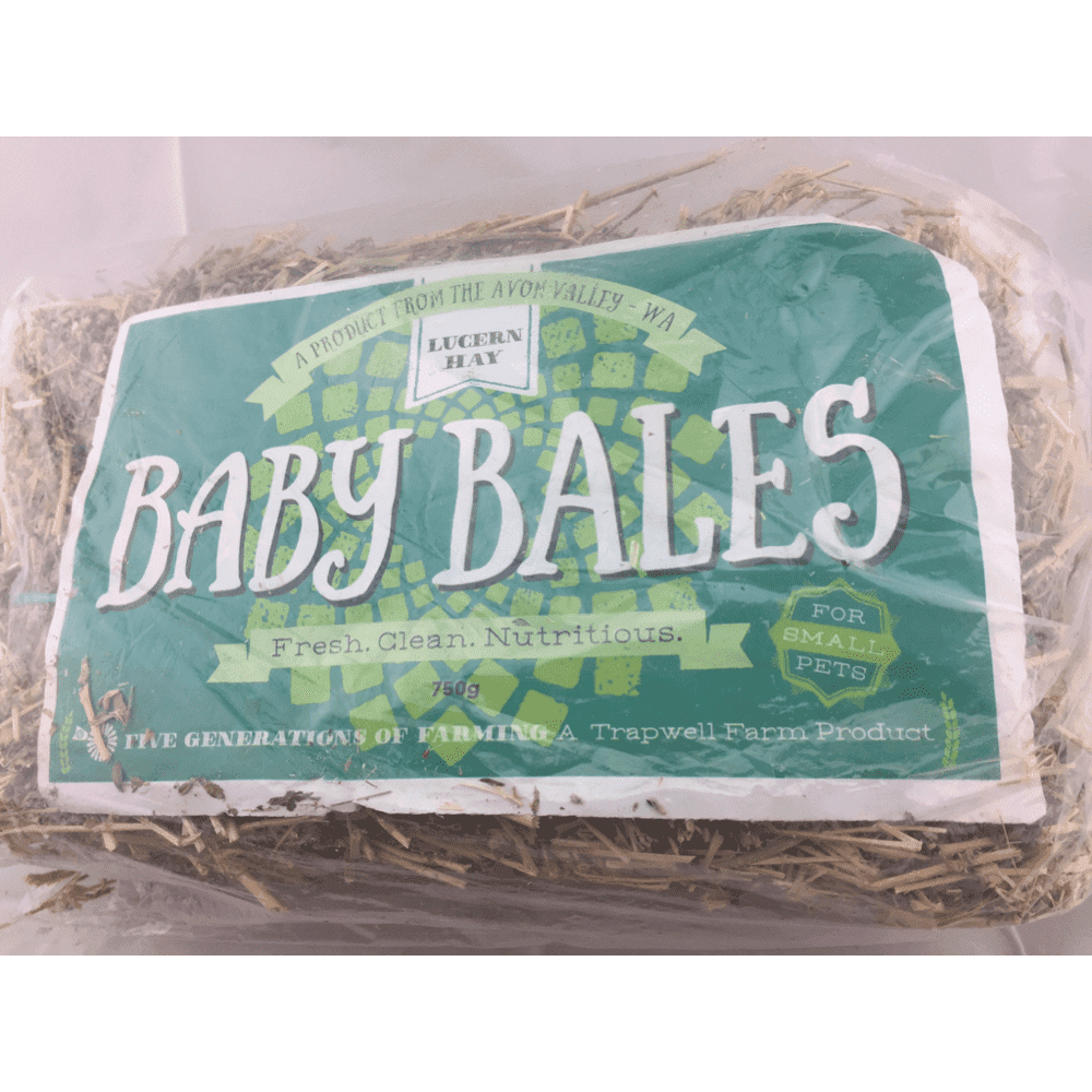 Urban Revolution Australia Baby Bales - Lucerne Hay Garden
