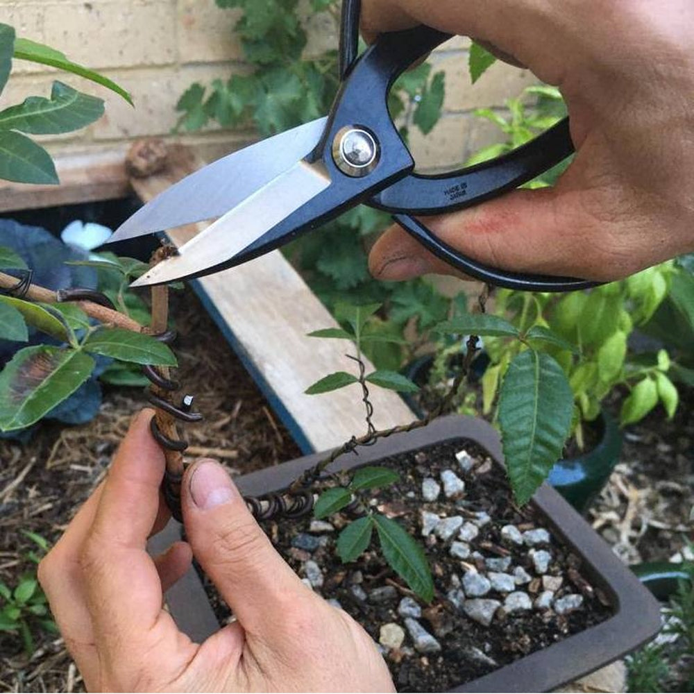 Bonsai scissors Sakagen