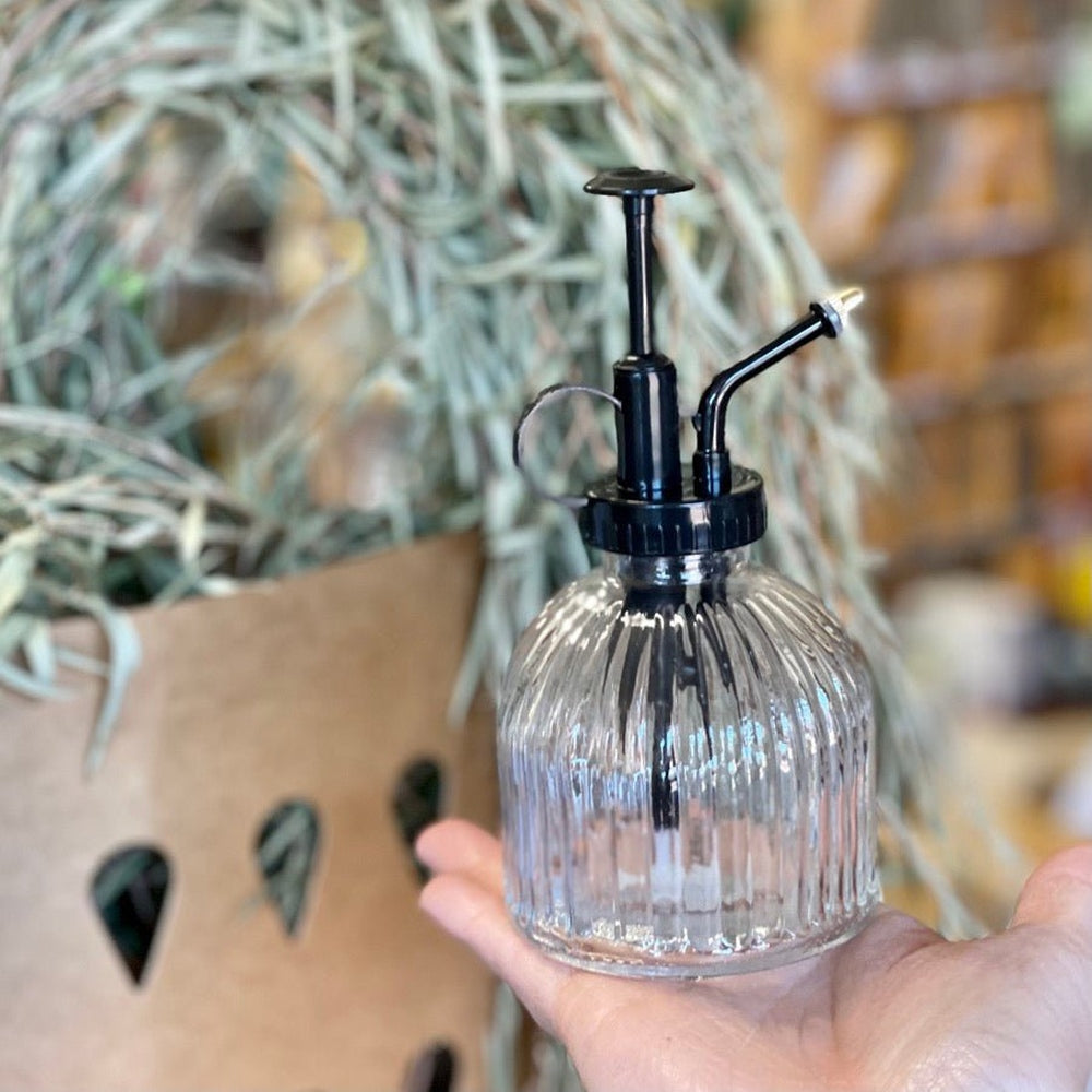 Indoor Plant Glass Mister from Garden Trading - Clear Glass Finish