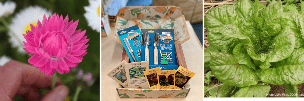 Seed Sowing and Growing Box