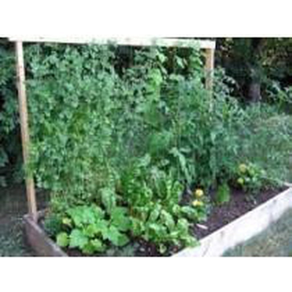 Ryset Jute Pea &amp; Bean Netting Garden