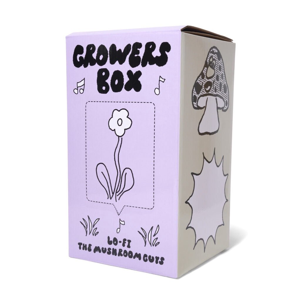 Mushroom grow kit in box