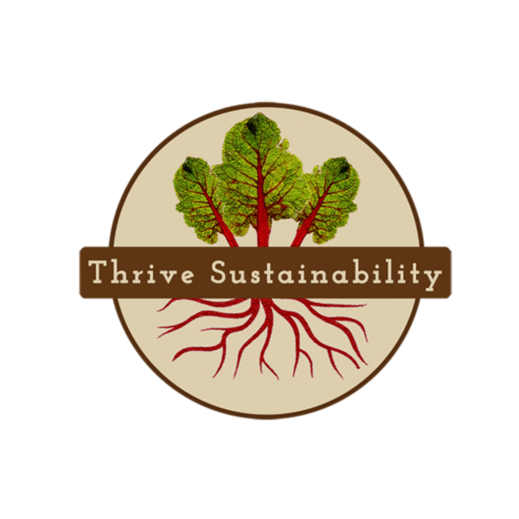 Open Pollinated and Heirloom Seeds - Thrive Sustainability - Urban Revolution