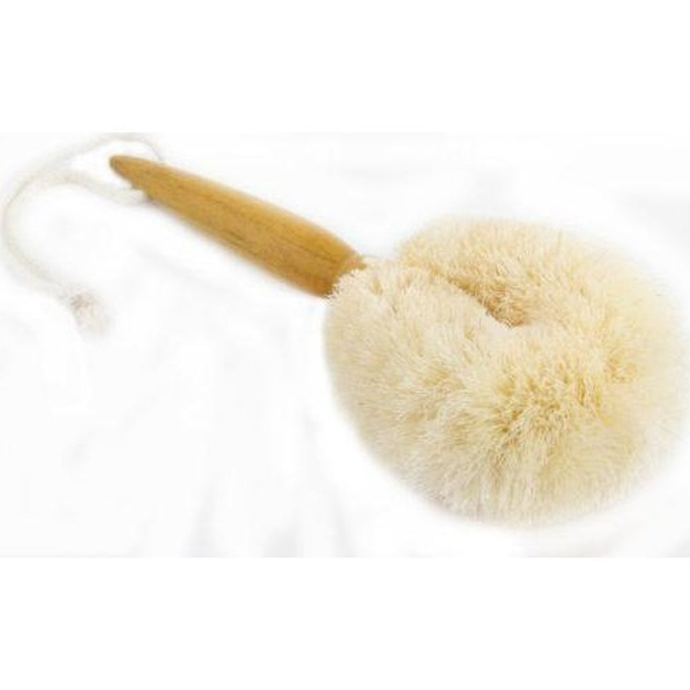 Import Ants Travel Body Brush Home