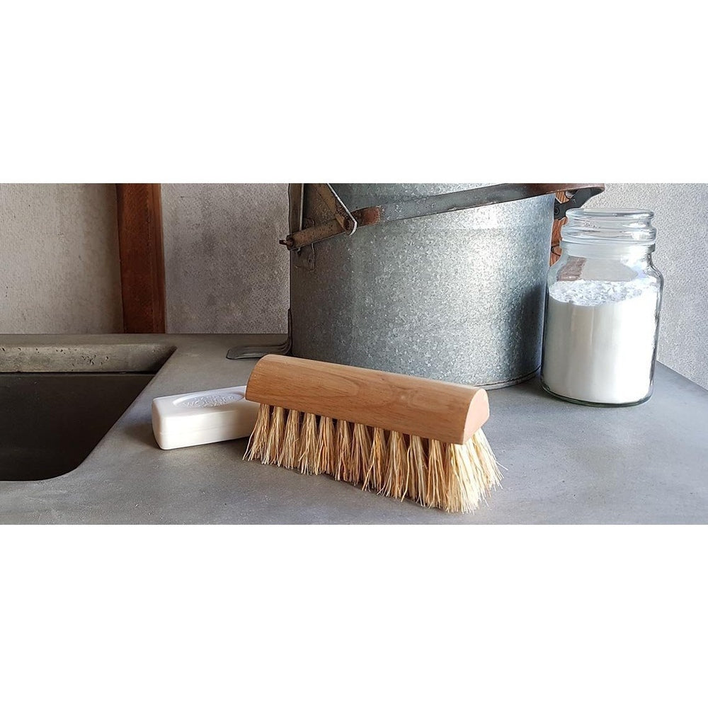 Import Ants Vegetable Fibre Scrub Brush Home