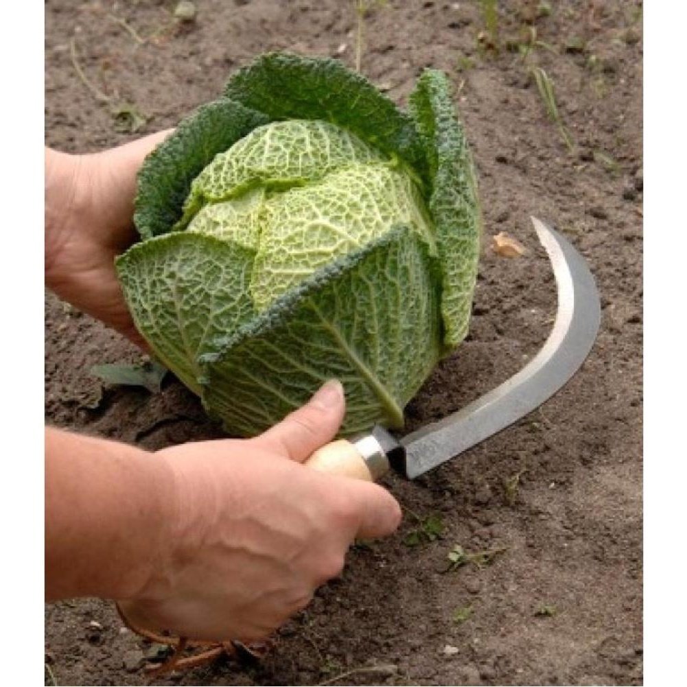 Urban Revolution Australia Vegetable Harvesting Knife Garden