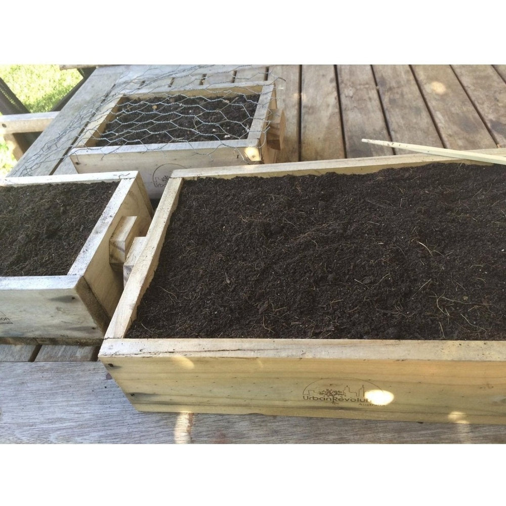 Urban Revolution Australia Wooden Seedling Flat - Pine - Rippa Woodturning Garden